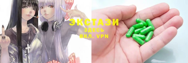 дживик Надым